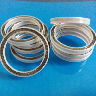 千正 生產(chǎn)廠家 泛塞封 彈簧密封圈 彈簧張力密封圈圖片_高清圖_細(xì)節(jié)圖-衡水千正密封件 -